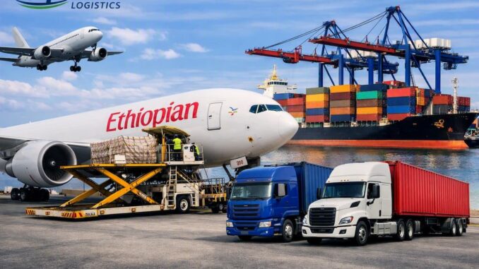 Rapidlex Logistics