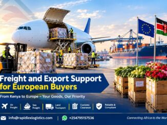 Freight and Export Support for European Buyers