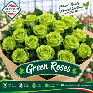 Green Roses