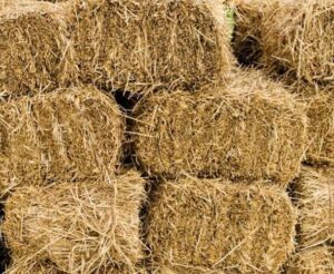 Hay Suppliers