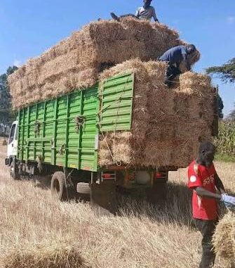 Hay Suppliers