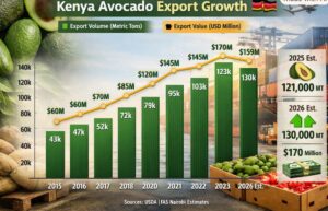 Kenya Avocado Export Growth