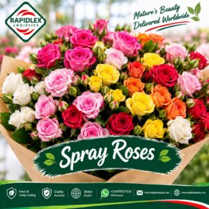 Spray Roses