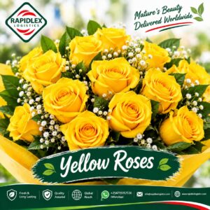 Yellow Roses