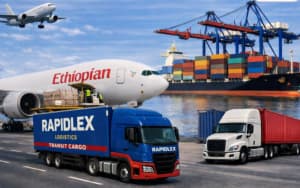 rapidlex-cargo